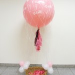 Heteluchtballon
